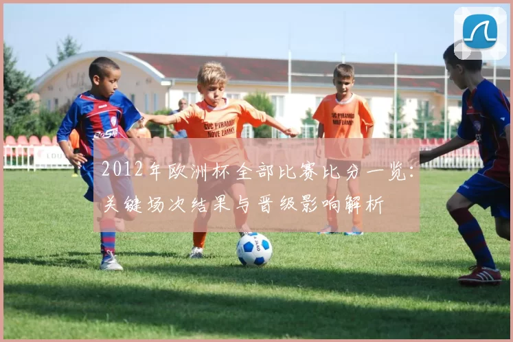 2012年欧洲杯全部比赛比分一览：关键场次结果与晋级影响解析